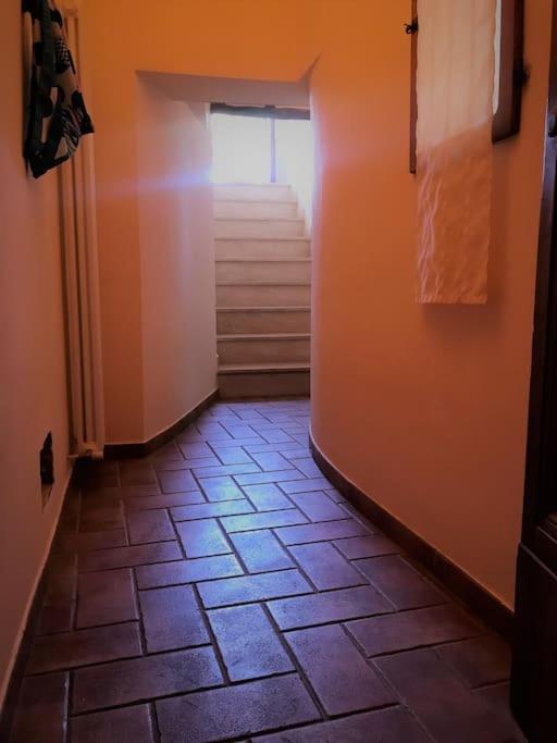 Gest Short Rent 2 Appartement *