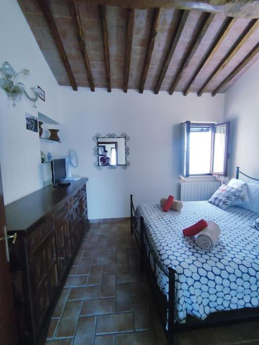 Gest Short Rent 2 Sienne